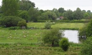 RogationSunday2011-3 Rogation Sunday 29 May 2-11: View towards Winchester from Hockley Viaduct
