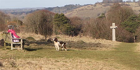 Shawford Down: War Memorial and dog