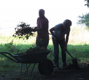 Volunteers hard at work clearing the path