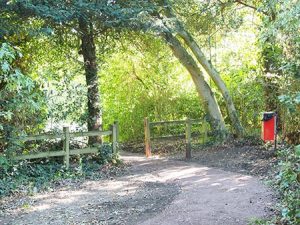 The scalpings in place, raising the level of the path