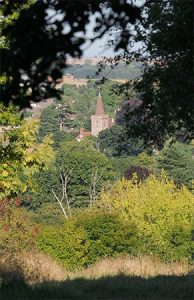 View of Twyford Church from the newly cleared path