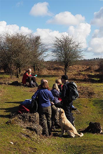 New Forest Coffee Break
