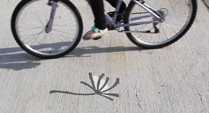 Dandelion on the Viaduct