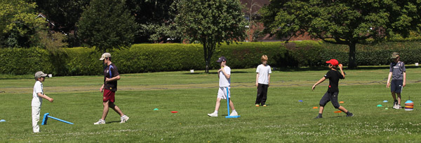 Summer Cricket Camp