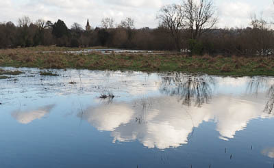 TwyfordWaterMeadow-1