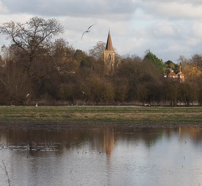 TwyfordWaterMeadow-2