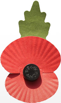 Remembrance Sunday poppy