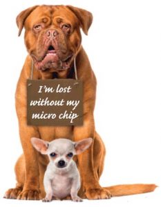 microchipping poster