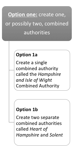 Hampshire Local Government Consultation - Option 1