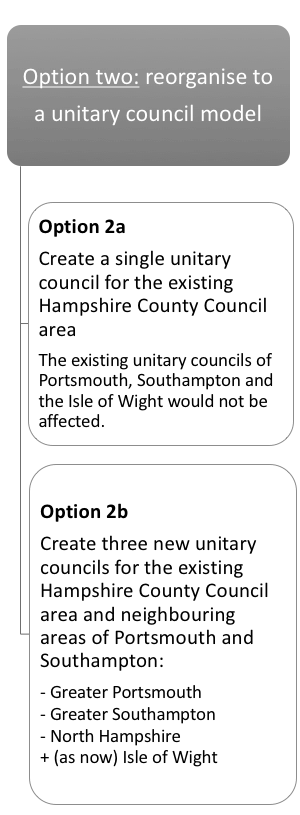 Hampshire Local Government Consultation - Option 2