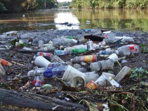 Litter Pick at Compton Lock