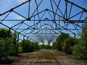 Bushfield Demolition Works